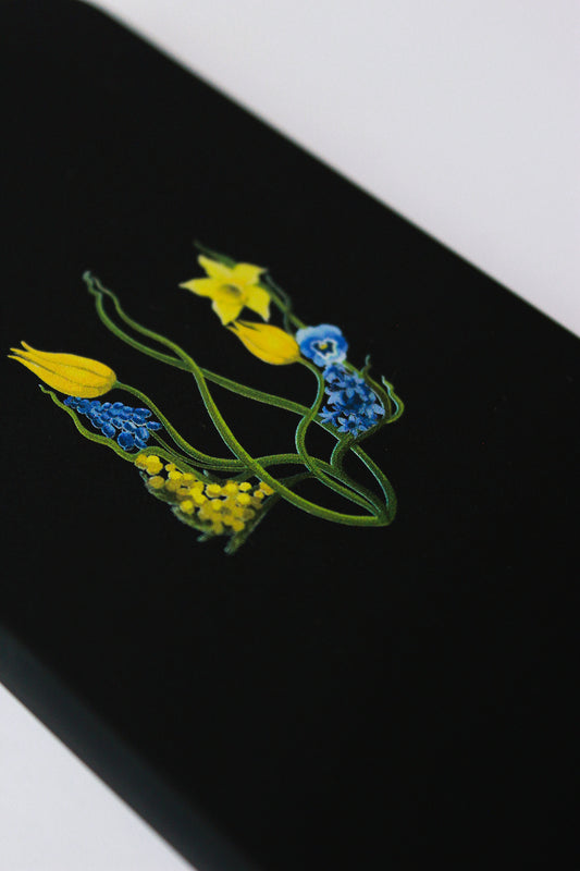 Чохол «Бронік»