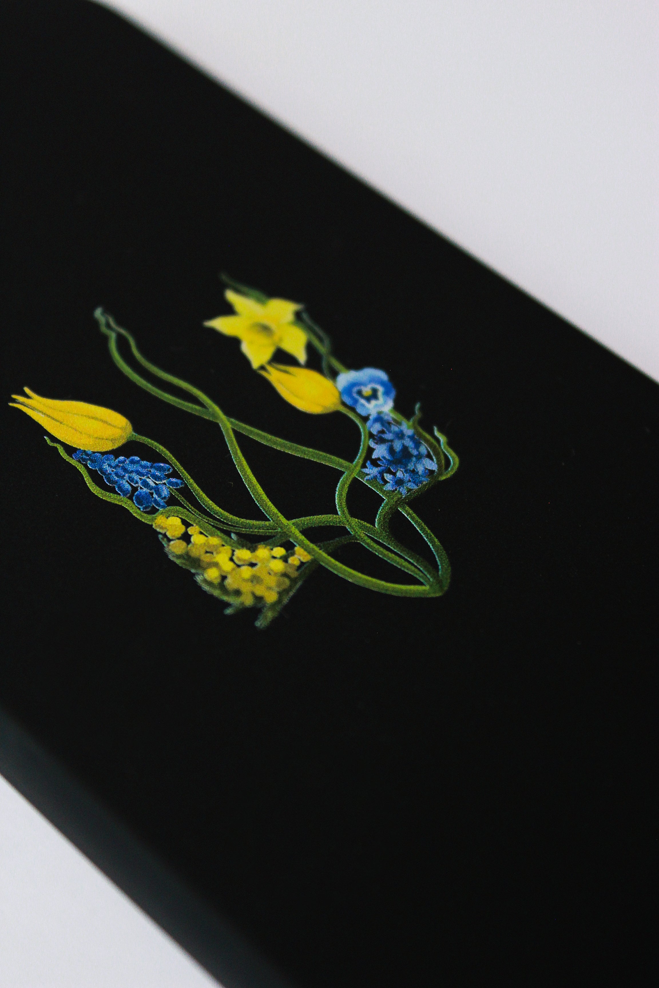 Чохол «Бронік»